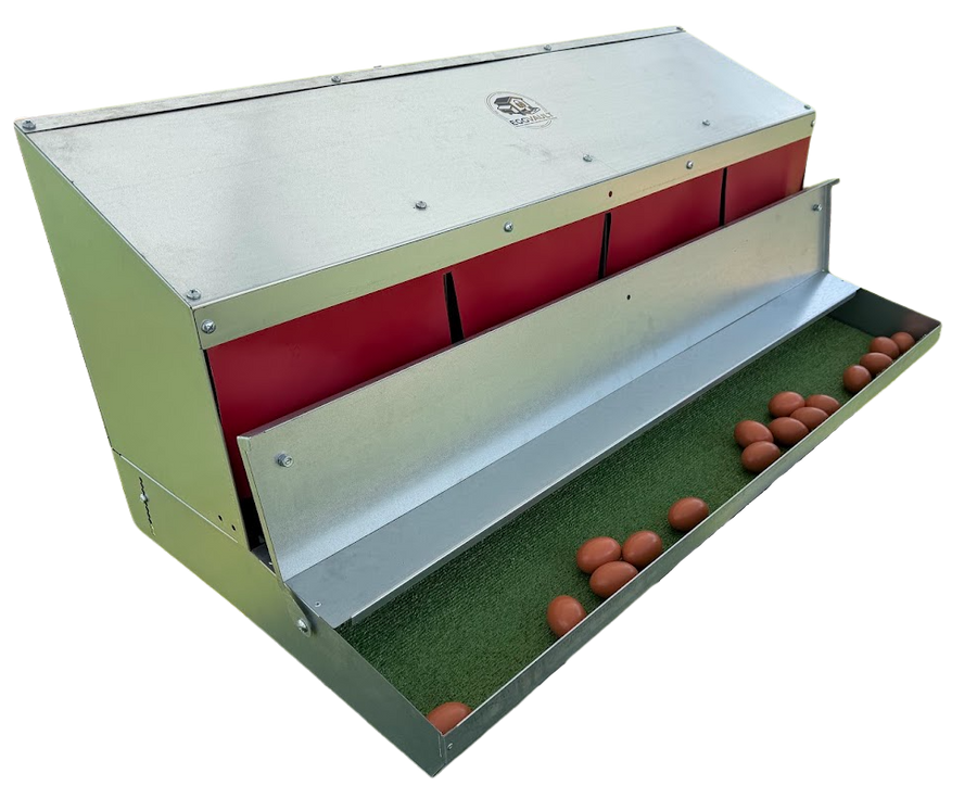 EggVault Large